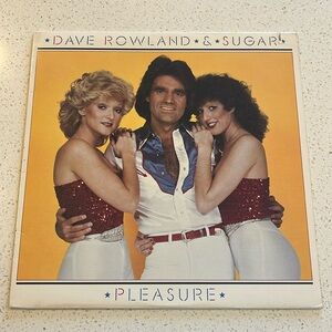 DAVE ROWLAND & SUGAR PLEASURE ELEKTRA RECORDS LP 1981